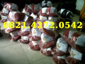 Grosir Topi SD siap kirim seluruh Indonesia